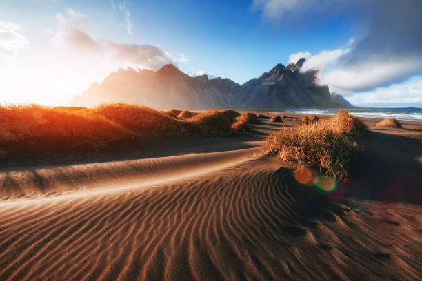 istock Magic sunset on a sandy beach. Beauty world. Turkey 644346386