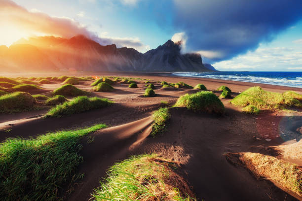 istock Magic sunset on a sandy beach. Beauty world. Turkey 644346466