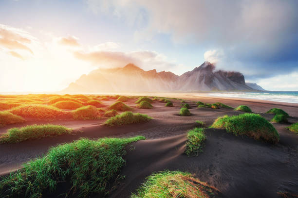 istock Magic sunset on a sandy beach. Beauty world. Turkey 644346564