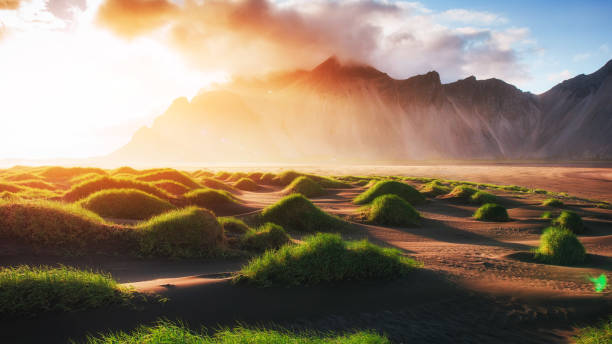 istock Magic sunset on a sandy beach. Beauty world. Turkey 644346886
