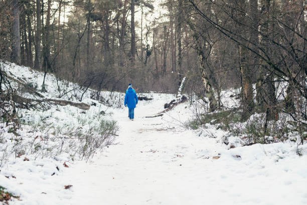 istock Woman walking in winter forest. Rear view. 644349704