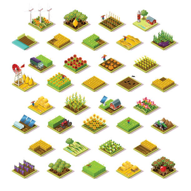 ilustrações de stock, clip art, desenhos animados e ícones de isometric building farm 3d icon collection vector illustration - livestock market