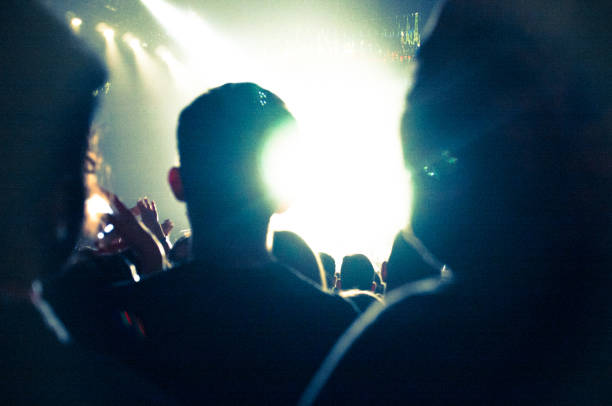 istock Taking picture with mobile phone at music concert 644355476
