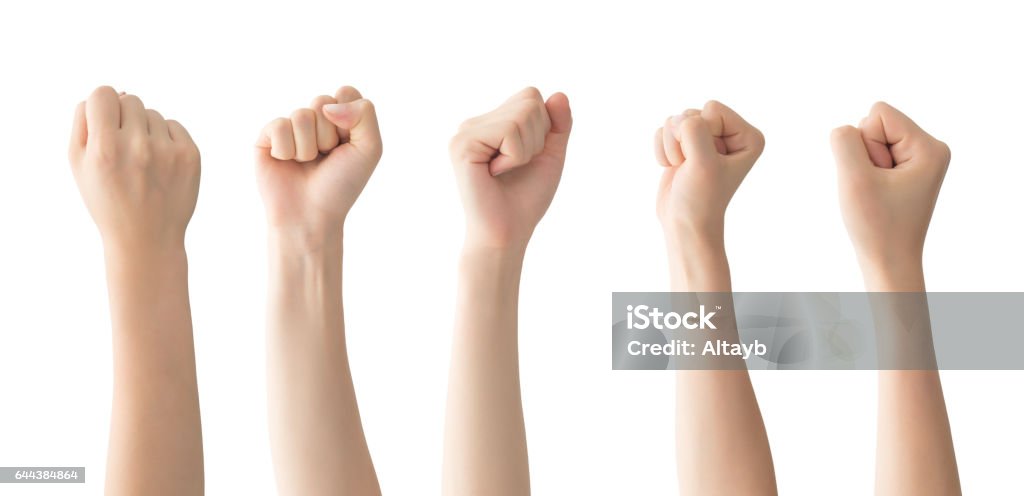 Woman fist set , isolated Woman fist set , clipping path Fist Stock Photo