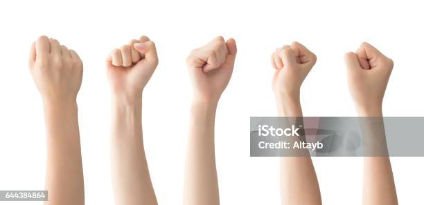 Woman Fist Set Isolated Stock Photo - Download Image Now - Fist, Hand, Women