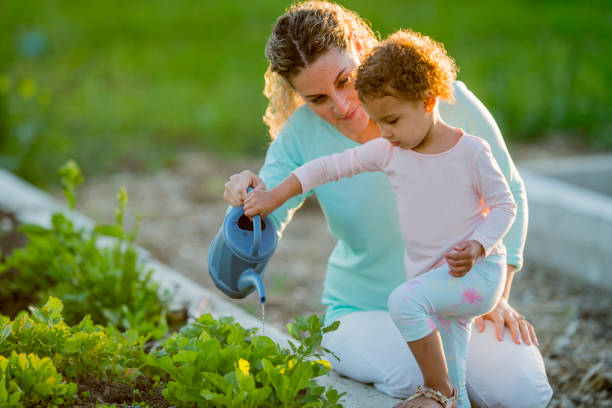 istock Watering the Vegetable Garden 644404372