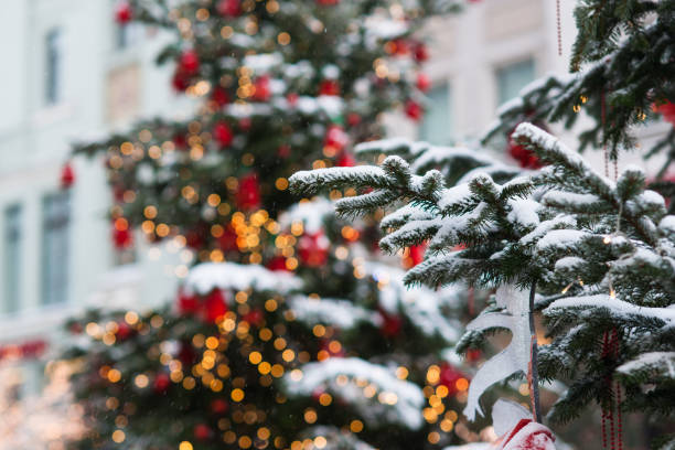 istock Decorated and illuminated spruce trees in the street 644452192