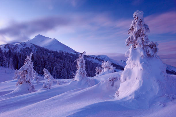 istock winter forest and mountains Carpathians 644482552