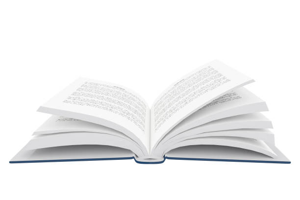 istock 3D rendering of an open book on white background 644494420