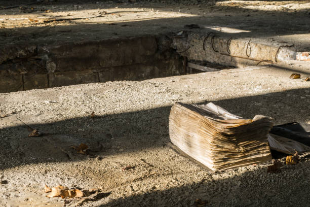 old moldy book on the floor