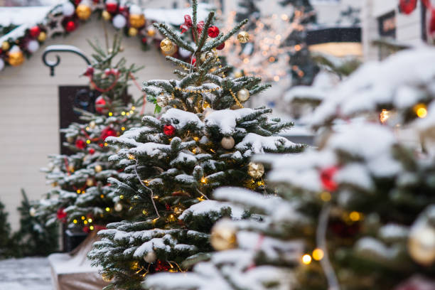istock Snow covered spruce trees and kiosks 644513210