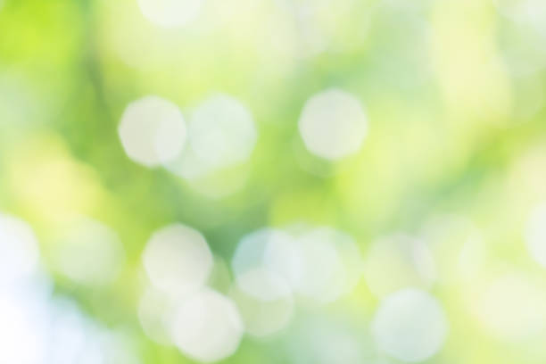 istock Blurred spring background with patches of sunlight 644546282
