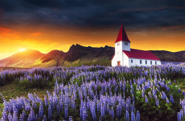 istock Lutheran church in Vik. Fantastic sunset. Iceland 644555418