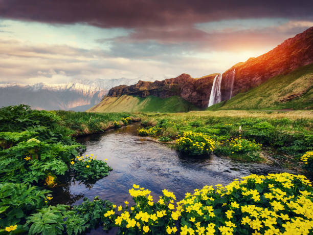 istock Seljalandfoss waterfall. Beautiful summer sunny day. Iceland 644555968