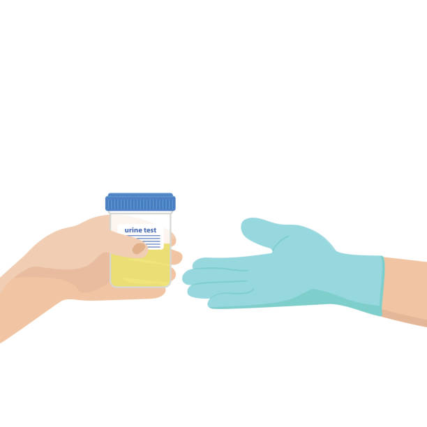 The patient gives the doctor a jar of urine. vector art illustration