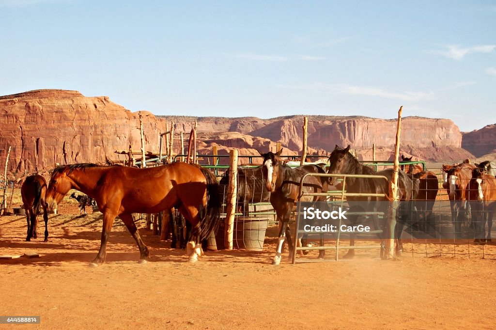 Horse herd in the Monument Valley in the wild west of the USA Amazing Monument Valley in the western part of the USA Arizona Stock Photo