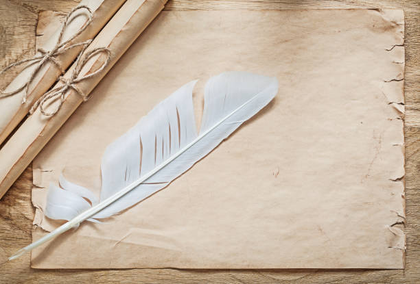 istock Medieval parchment paper rolls plume on wooden board 644599908