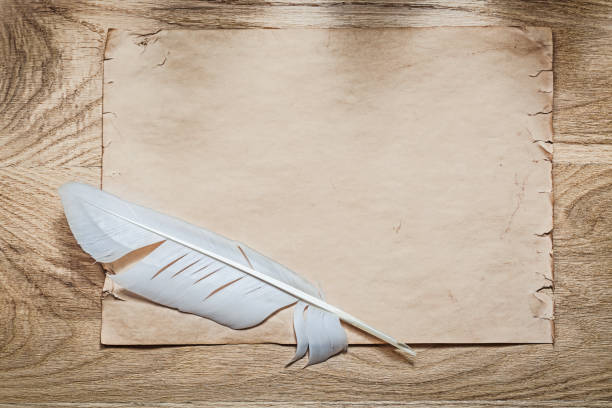 istock Medieval parchment quill on wooden board 644600418