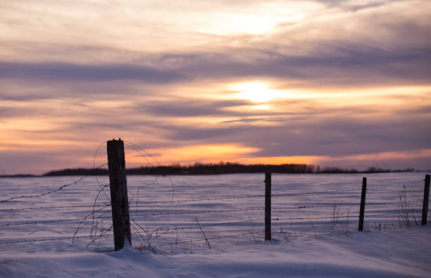 istock Pasture fence in winter sunset 644688432