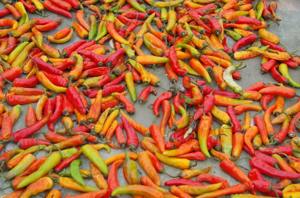 Some red chilli in the Himalayan mountains in Ladakh, India