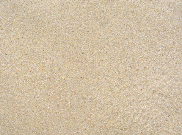 istock Blank Fine sea sand Texture and background 644697892