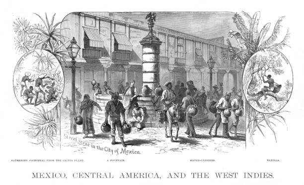 Mexico Central america scene illustration 1886 Mexico Central america scene illustration Maps Monteith Physical Geography 1886 mexican mule stock illustrations