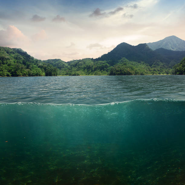 modelo de design de paisagismo marinho com parte subaquática e montanha costeira dividida por linha d'água - underwater sea water surface surface level - fotografias e filmes do acervo