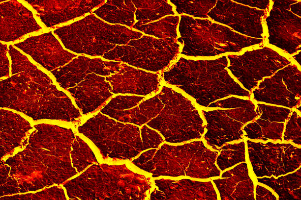 istock the surface of the lava. background 644903538