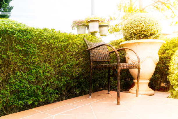 istock Rats chair in the garden 644911080