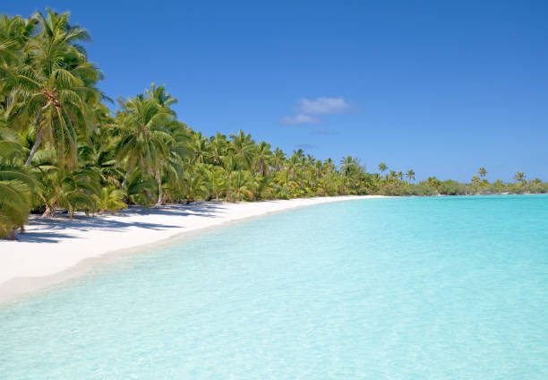 akaiami paradise, aitutaki, cook islands, south pacific - south pacific ocean island polynesia tropical climate imagens e fotografias de stock