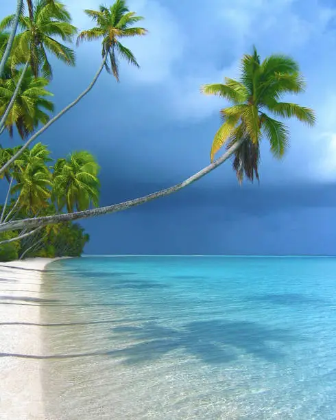 The remote Farea atoll is an "Island of Dreams" located in the Tuamotu Archipelago, French Polynesia, South Pacific