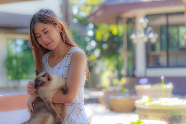 istock Pretty young Asian woman holding a grey-eyes Siamese cat . 644934962