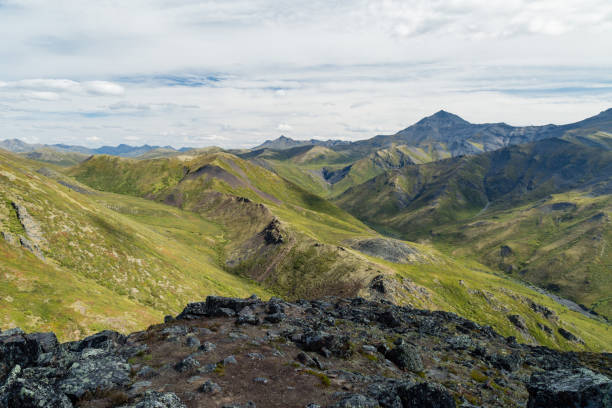 A nord della Treeline - foto stock