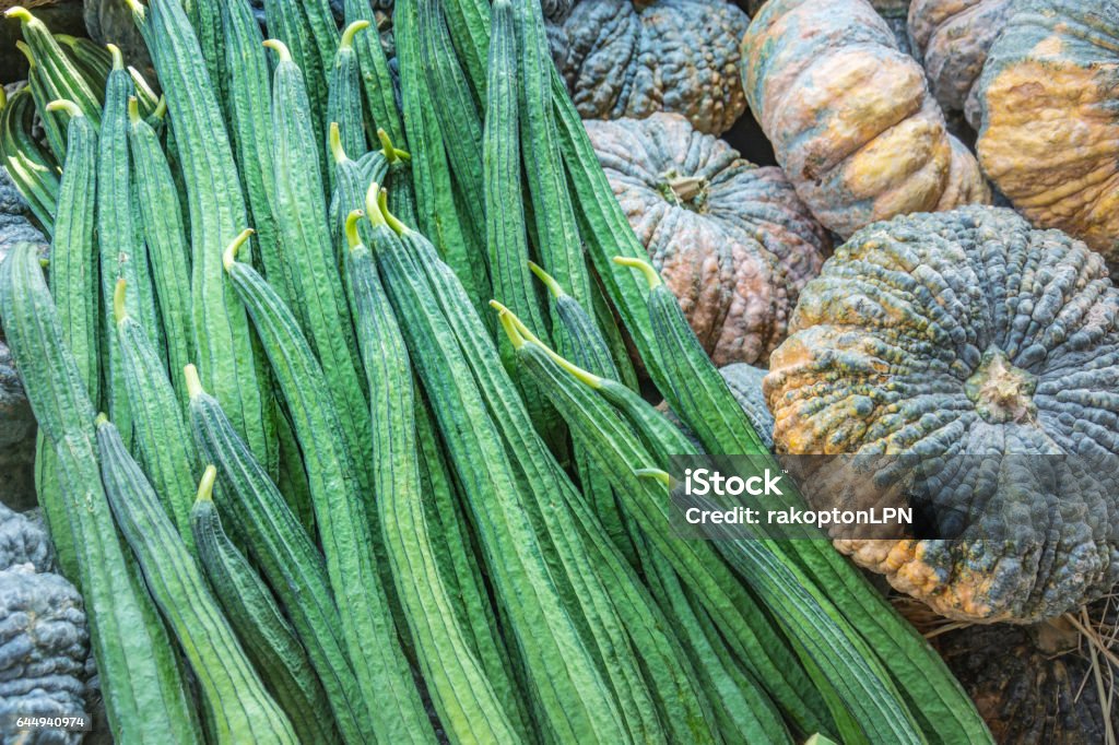 Fresh Angled loofah and pumpkin, Angled Gourd (Luffa acutangula Roxb.), Vegetable for background Agriculture Stock Photo