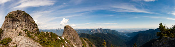 Vancouver - I Leoni - foto stock