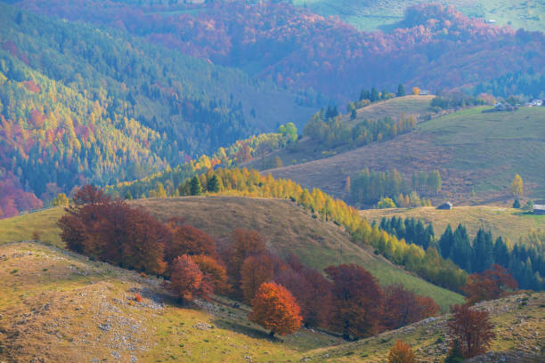 istock Autumn panorama in the mountains, in a remote rural area 644945670