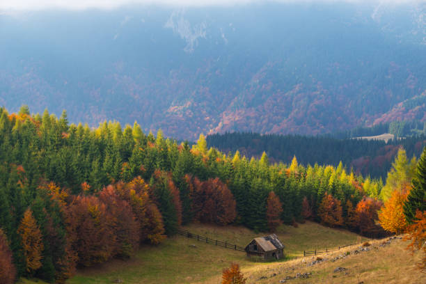 istock Autumn panorama in the mountains, in a remote rural area 644945776