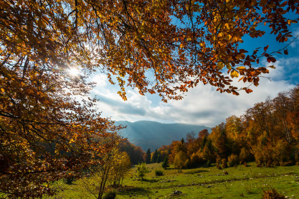 istock Autumn panorama in the mountains, in a remote rural area 644948298