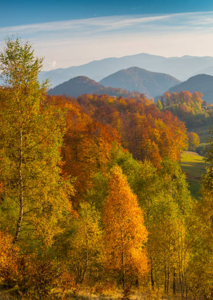 istock Autumn panorama in the mountains, in a remote rural area 644949040