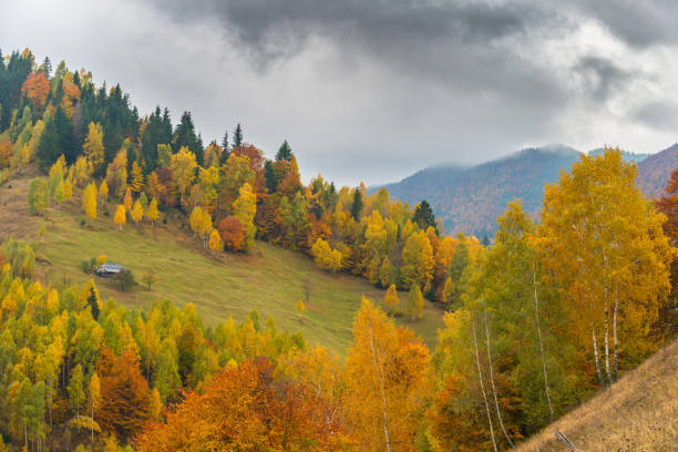 istock Autumn panorama in the mountains, in a remote rural area 644951462