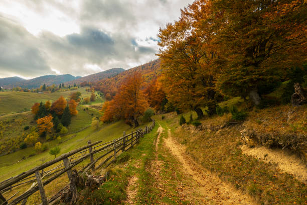 istock Autumn panorama in the mountains, in a remote rural area 644952004