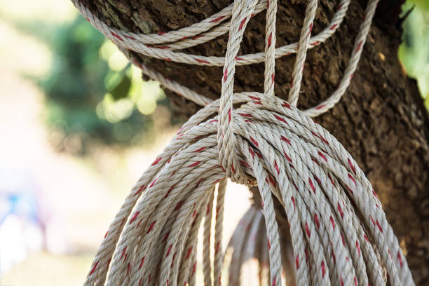 istock Old rope closeup, Twisted thick rope 644952550