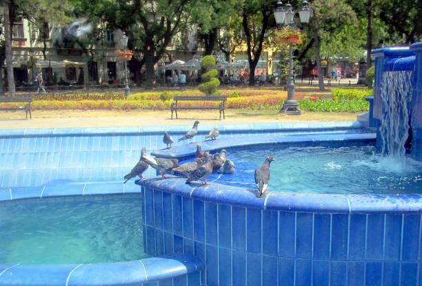 Pigeons on a fountain in Zrinjevac Park, Zagreb, Croatia.