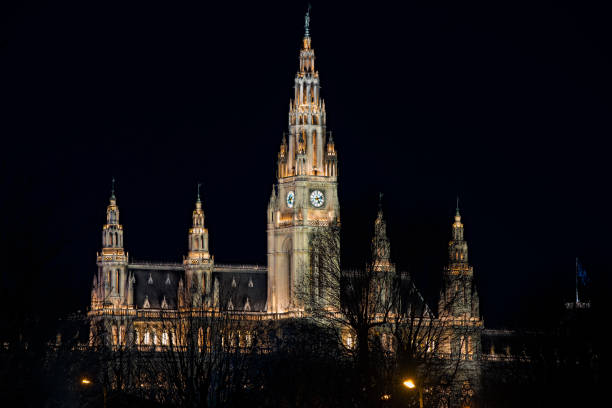 istock Wien cityhall full lighted at night 644958778