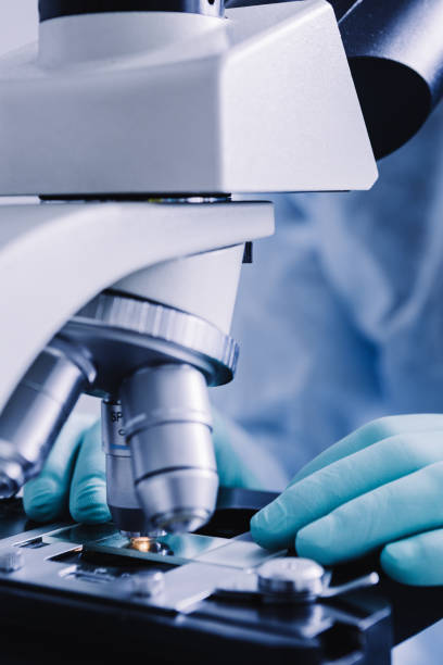 istock Close up view of glass under microscope 644963172