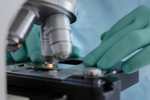 istock Close up view of glass under microscope 644963256