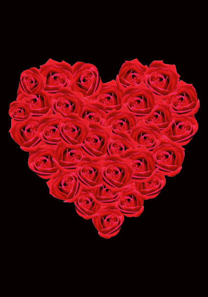 istock Floral heart; red, roses 644966080