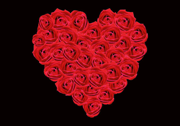 istock Floral heart; red, roses 644966084