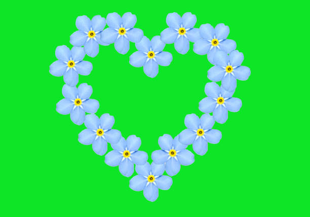 Floral heart, Myosotis