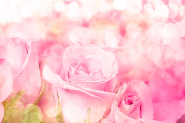 istock sweet light pink on pink abstract lighting background 644974224